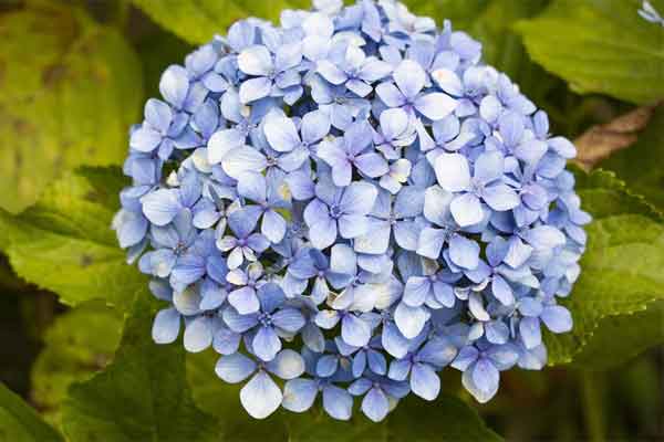 Bước sang tháng 10, 4 con giáp thăng tiến như vũ bão, tiền bạc tiêu mỏi tay-5