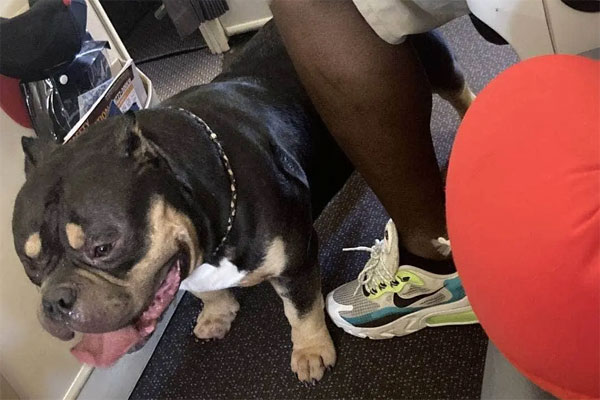 Cặp vợ chồng được đền bù hơn 30 triệu đồng sau chuyến bay ác mộng-1