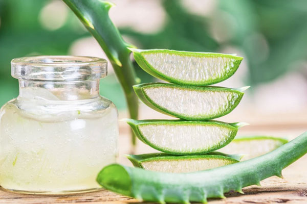 Công dụng tuyệt vời của nha đam trong làm đẹp-1