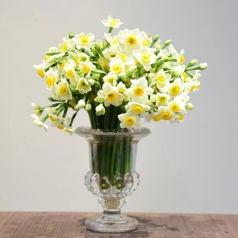 Người bán hàng không nói: 5 cây cảnh đẹp nhưng có độc, thận trọng khi trồng-8