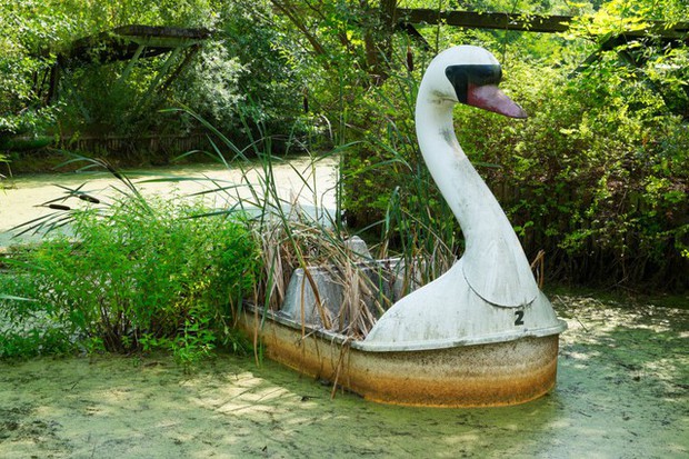 Bên trong Spreepark: Công viên từng đón hàng triệu lượt khách thành vùng đất ma suốt 2 thập kỳ vì bí mật khủng khiếp-5