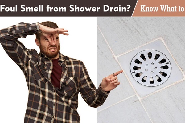 Mua xoài nên chọn quả dài hay quả tròn?-2