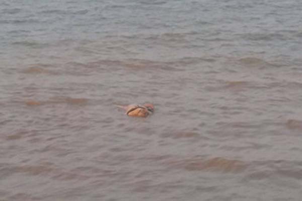 Sau phát hiện bé gái tử vong trên sông Sài Gòn, thấy thi thể người mẹ gần đó-3