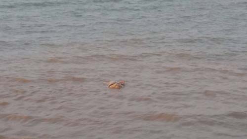 Người đàn ông tử vong khi nhảy xuống sông trốn công an vây ráp sòng bạc-1