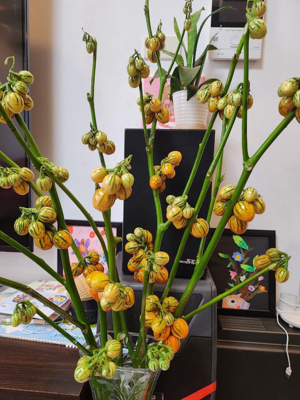 Thêm một loại cành quả lạ mắt hút khách, giá bán hơn trăm nghìn đồng/bó-1