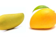 Mua xoài nên chọn quả dài hay quả tròn?