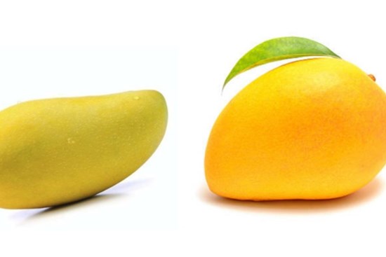 Mua xoài nên chọn quả dài hay quả tròn?