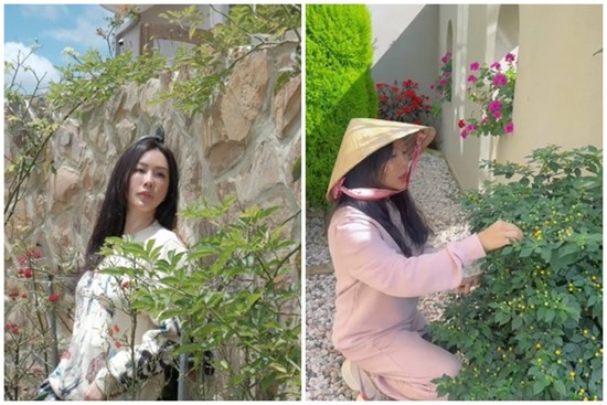Mẹ đơn thân nổi tiếng khoe cảnh hái ớt “mấy triệu một ký” trong vườn biệt thự