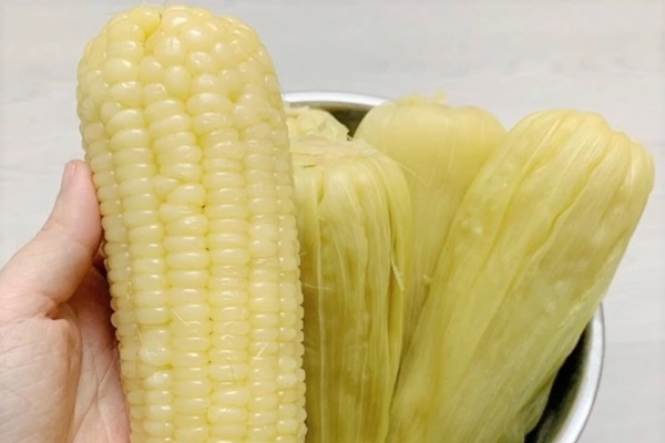 5 dấu hiệu sớm cảnh báo ung thư cổ tử cung, dù nhẹ cũng không nên bỏ qua-4