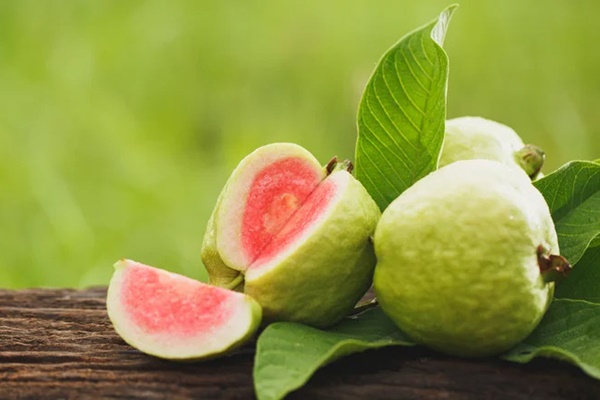 Loại quả được người Nhật gọi là trường sinh nhưng 4 nhóm người nên thận trọng khi ăn-4