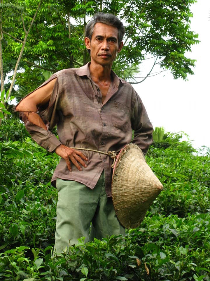 Nam nghệ sĩ khắc khổ nhất màn ảnh Việt: Ngoài đời sống hạnh phúc đáng ngưỡng mộ bên vợ đẹp kém 25 tuổi-3