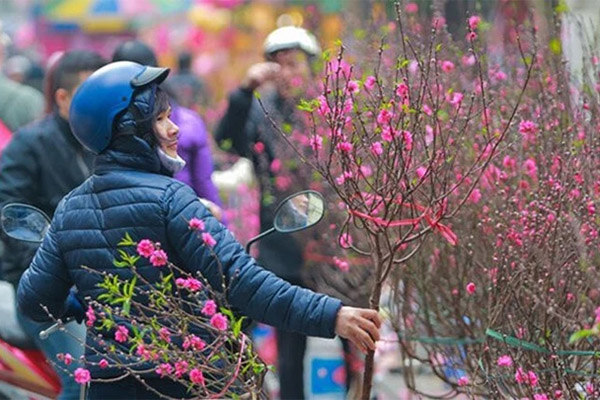 Dự kiến trình phương án nghỉ tết Nguyên đán 2024 từ 29/12 Âm lịch-2