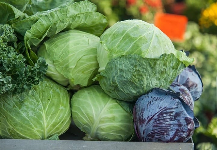 Những loại rau có thể tồn dư nhiều thuốc trừ sâu-4