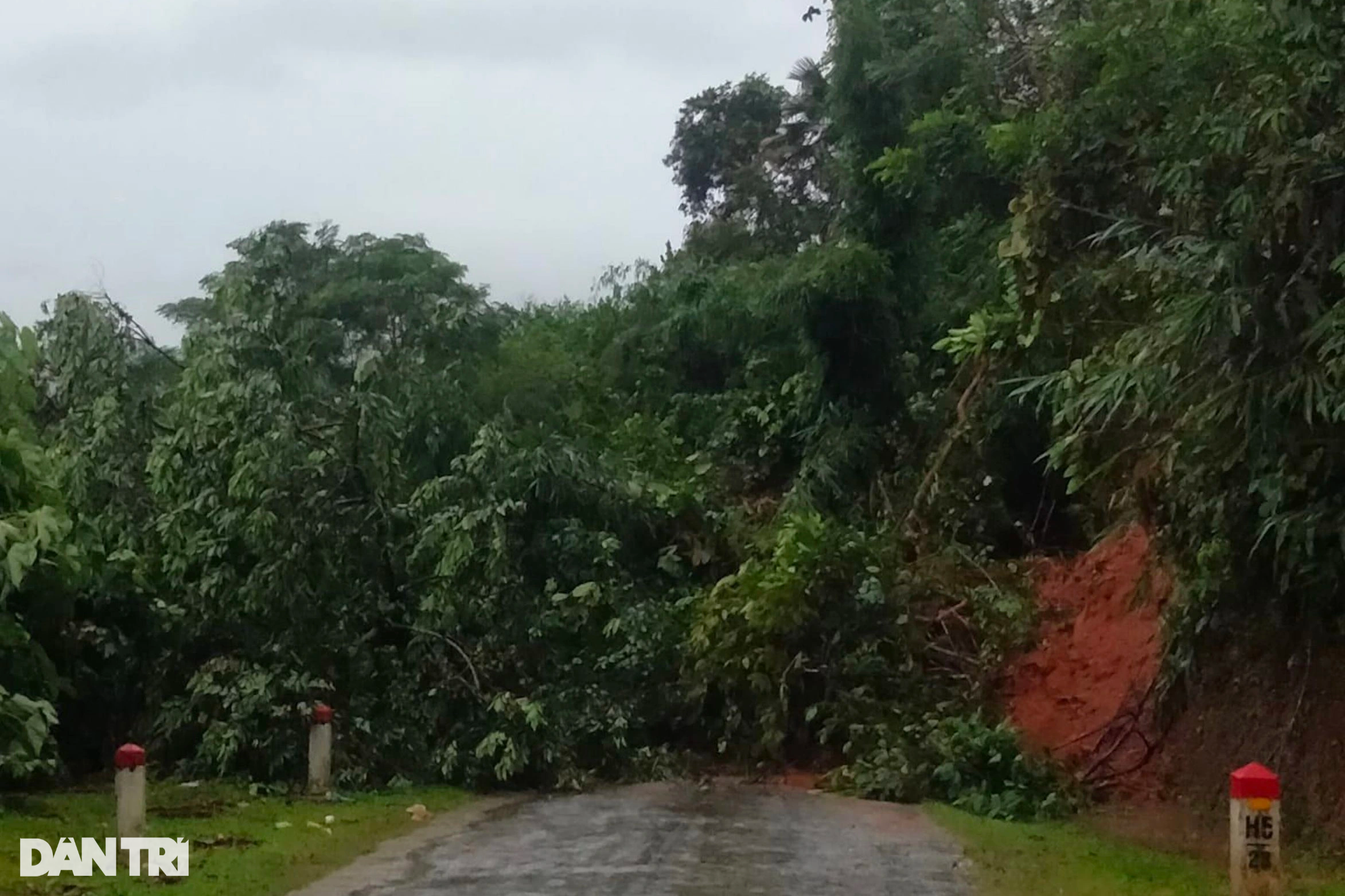 Nước dâng ngập tận nóc nhà, dân đóng bè đi sơ tán-10