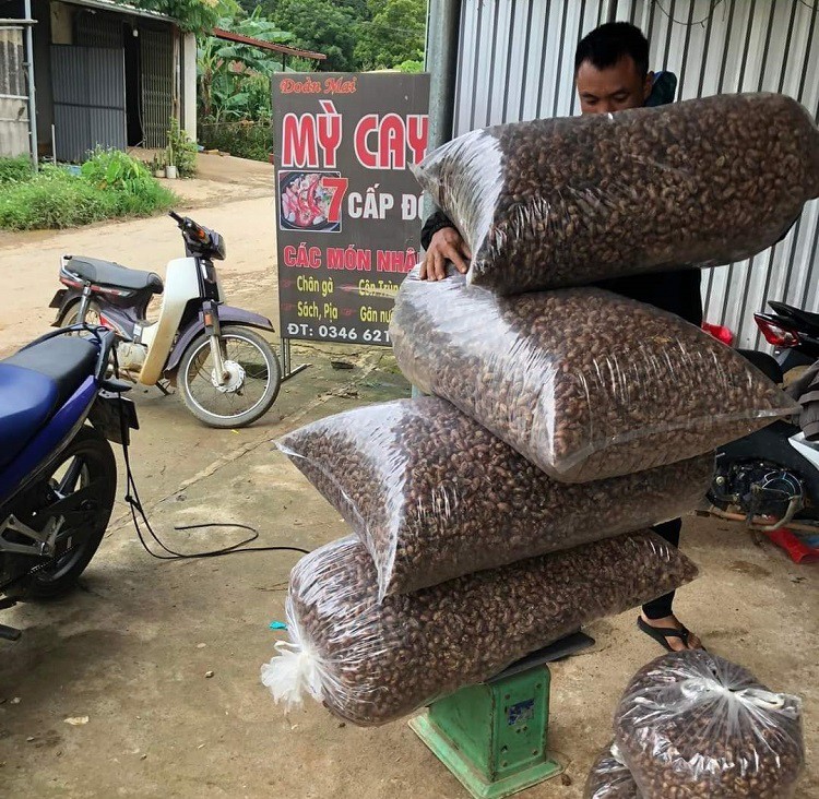 Bất ngờ xác loại côn trùng bò lên từ lòng đất được mua với giá 1,5 triệu đồng/kg-2