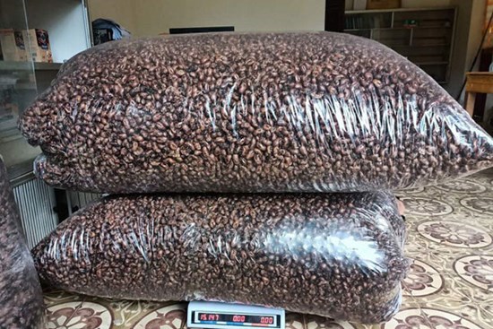 Bất ngờ xác loại côn trùng bò lên từ lòng đất được mua với giá 1,5 triệu đồng/kg