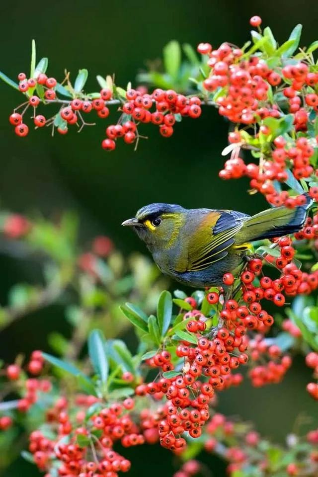 Quý 4/2023: 4 con giáp chạy nước rút, bứt phá thành công, thắng lợi về đích, hầu bao rủng rỉnh-3