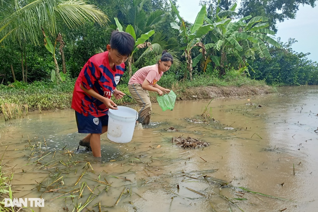 Cha mẹ bỏ nhau, 2 chị em đói khổ, cả tuần chia nhau 1kg gạo-1