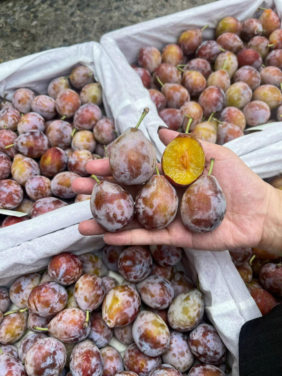 Sự thật về loại mận đường đang hot nhất chợ online-1