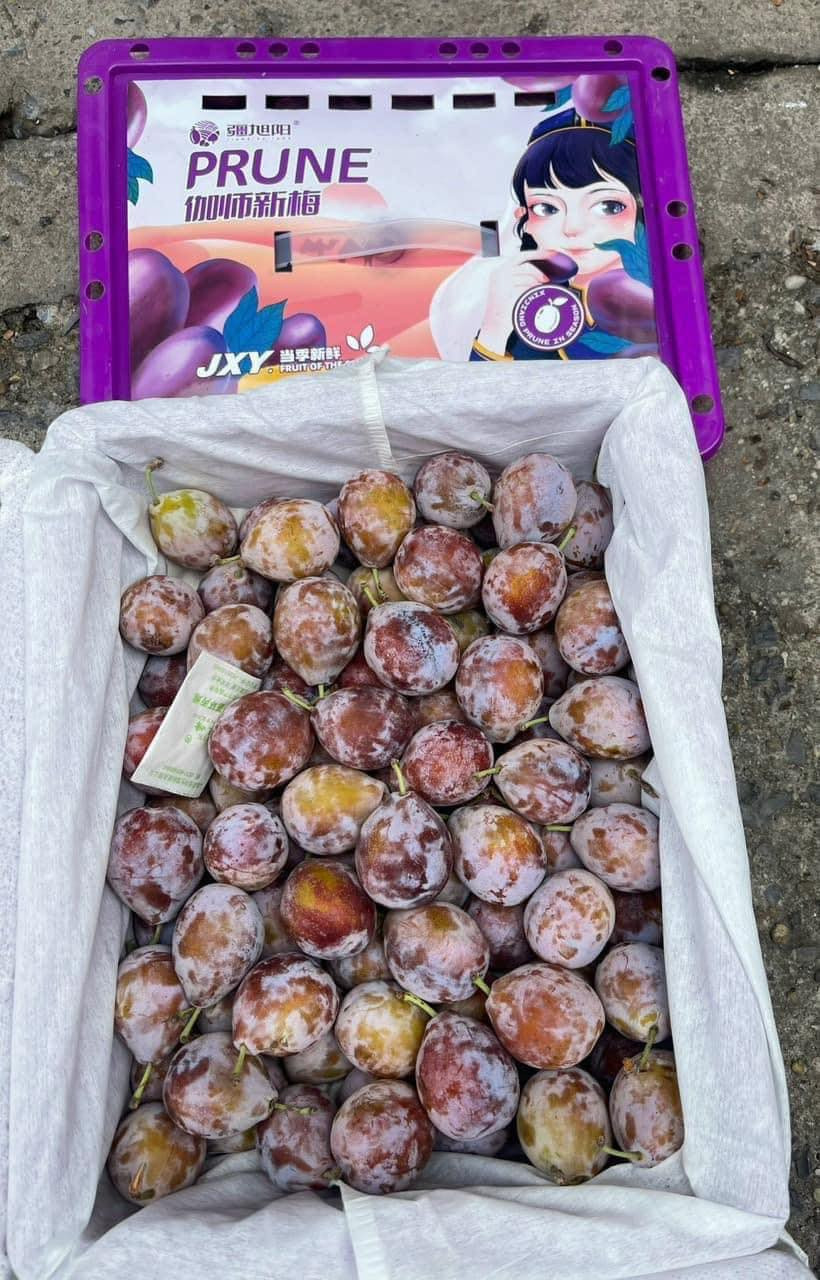 Sự thật về loại mận đường đang hot nhất chợ online-2