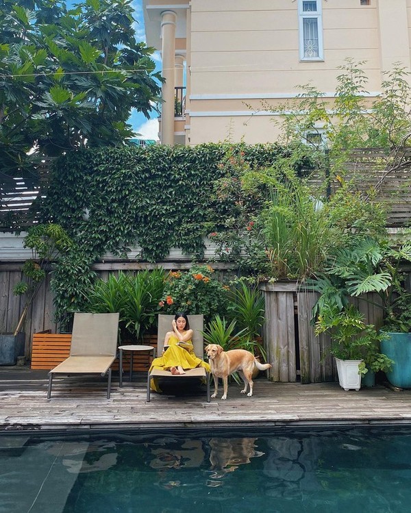 Thành quả từ vườn cây khiến nàng dâu hào môn Tăng Thanh Hà càng thêm được nể phục khi thành nông dân mát tay-10