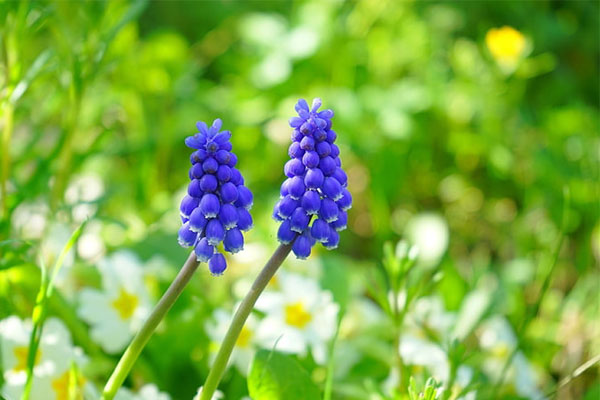 Tử vi ngày 29/9/2023 của 12 cung hoàng đạo: Bạch Dương tự tin, Sư Tử bất an-4