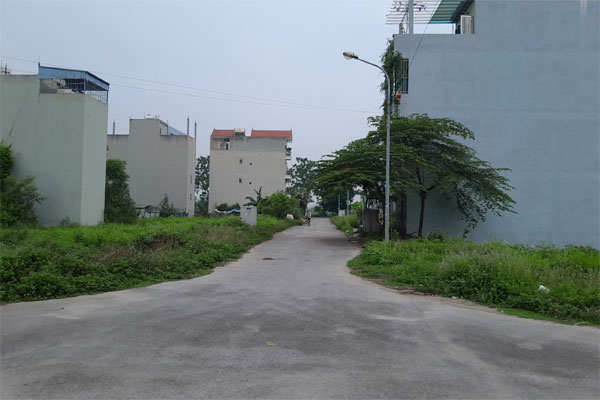 Bỏ hàng trăm triệu đồng mua đất xen kẹt ở Hà Nội rồi để... trồng rau-3