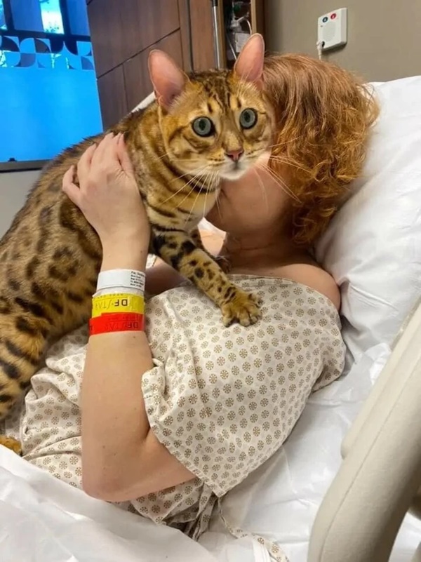 Người phụ nữ hôn mê, tê liệt toàn thân sau khi ăn đồ hộp hết hạn-3