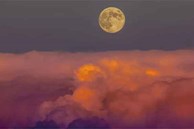 Siêu trăng Trung thu: Việt Nam quan sát được thời điểm ngoạn mục nhất