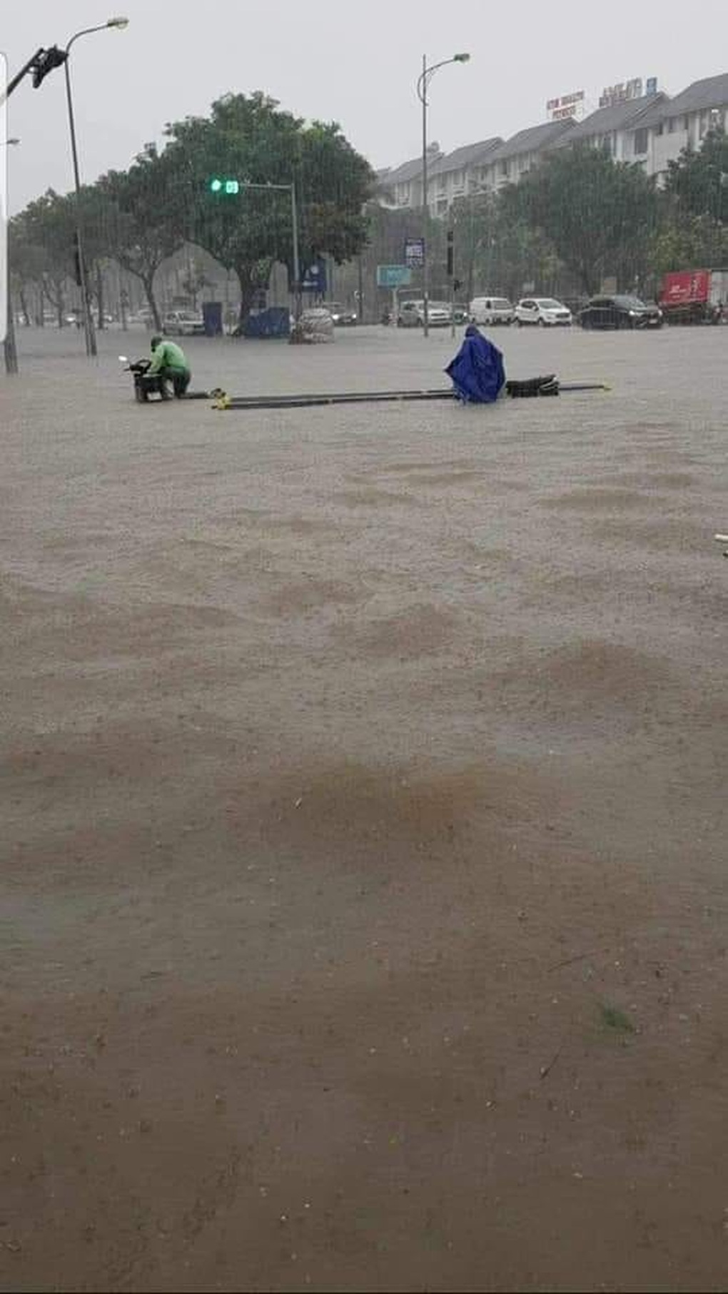 Tài xế Việt than trời, chia sẻ hình ảnh độc lạ trên đường ngày mưa ngập-4