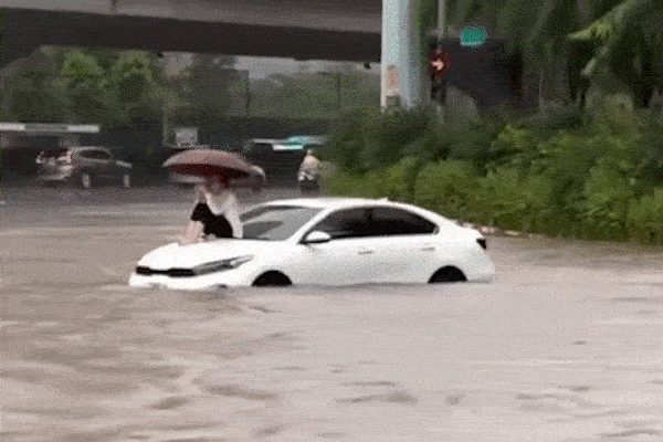 Cô gái kể gần 1 giờ ngồi trên nóc capo ô tô giữa 'biển nước' ở Hà Nội