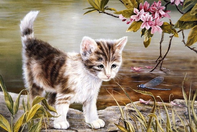 Bước sang tháng 10 Dương lịch, 4 con giáp này có vận đỏ như son, tài lộc gõ cửa, tiền đổ về đếm mỏi tay-3