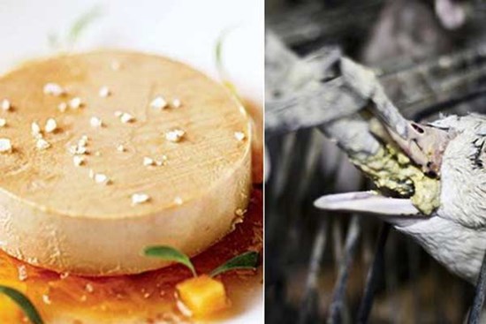 Bí mật đằng sau món ăn sang chảnh bậc nhất hành tinh: Hóa ra lại có quy trình sản xuất đáng suy ngẫm