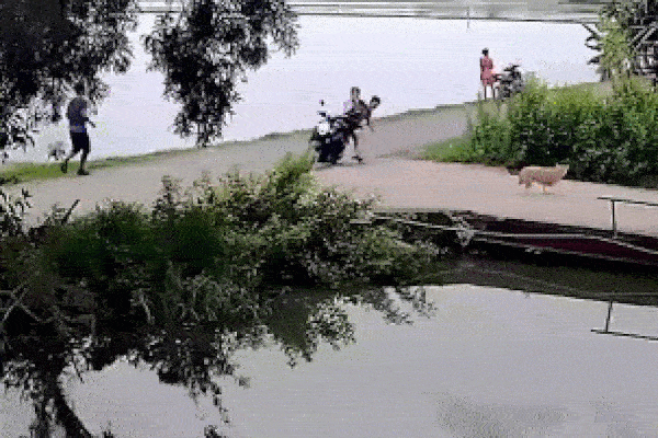 Clip: Phóng tốc độ cao, xe máy mất lái lao thẳng xuống ao