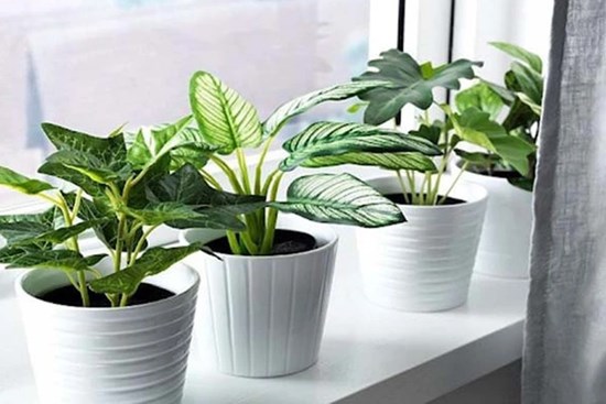 Thiếu 6 điều, tài lộc của gia chủ “bay” mất, tuân thủ đầy đủ khi vào nhà mới đảm bảo bình an cả đời