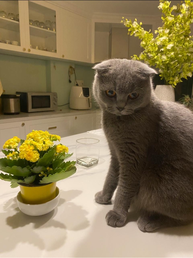 Nhan sắc tuổi 36 và cuộc sống hiện tại của cơ trưởng Huỳnh Lý Đông Phương-7