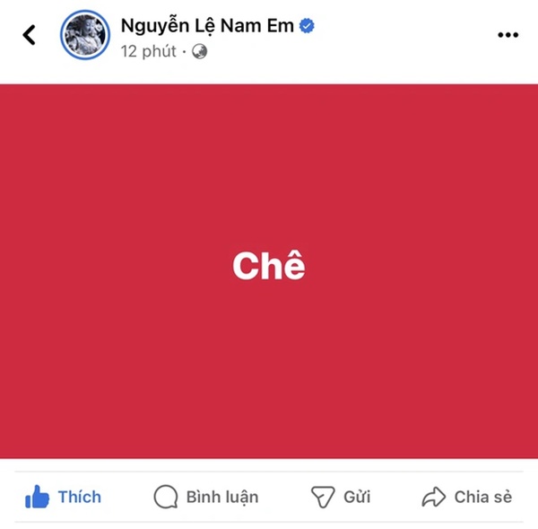 Nam Em công khai đá xéo khi Bùi Quỳnh Hoa đăng quang Miss Universe Vietnam 2023?-2