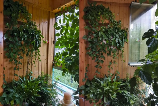 Cô gái trẻ chọn cách sống khác ngay trong căn hộ nhỏ ở thành phố-5