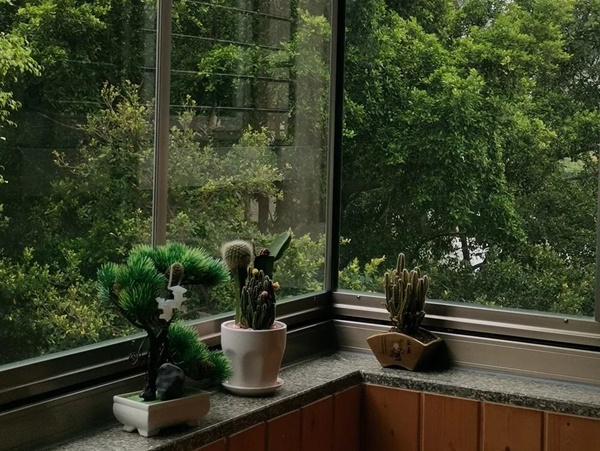 Cô gái trẻ chọn cách sống khác ngay trong căn hộ nhỏ ở thành phố-8