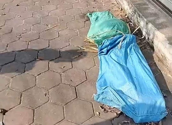 Thi thể cô gái lõa thể ở vỉa hè và loạt câu hỏi vạch trần tội ác phía sau-2