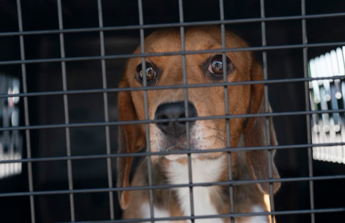 Đang ở độ cao hàng nghìn mét, phi công bất ngờ thông báo máy bay phải quay đầu: Nguyên nhân từ tình huống khó đỡ-6