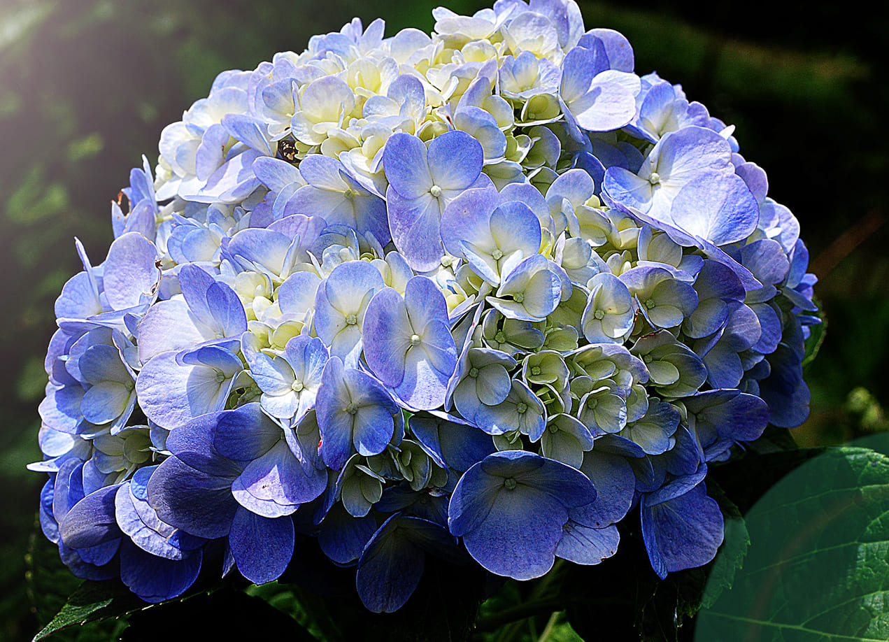 Ý trời định sẵn: Trẻ có giờ sinh này, dũng cảm, tháo vát, về sau thành công hơn người-2