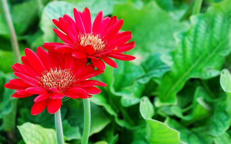 Ý trời định sẵn: Trẻ có giờ sinh này, dũng cảm, tháo vát, về sau thành công hơn người-3