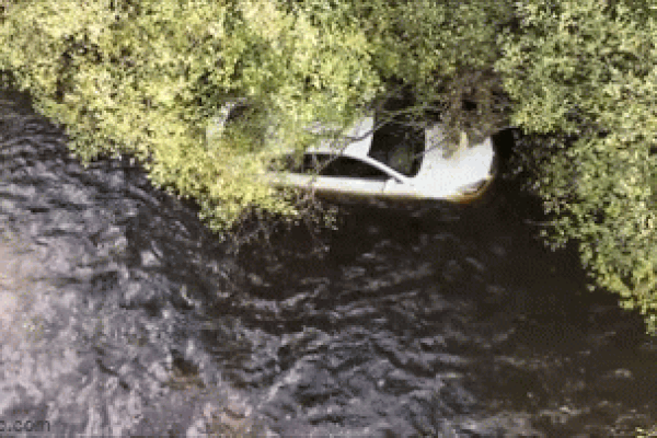 Clip: Cô gái may mắn thoát chết khi xe ô tô bị lũ cuốn xuống sông