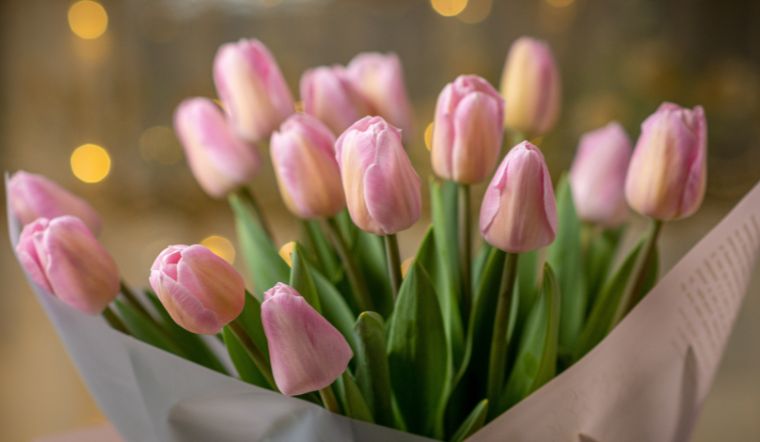 Sau Tết Trung thu, 3 con giáp phúc khí bùng nổ, kinh doanh thuận lợi, tiền bạc dư dả-2