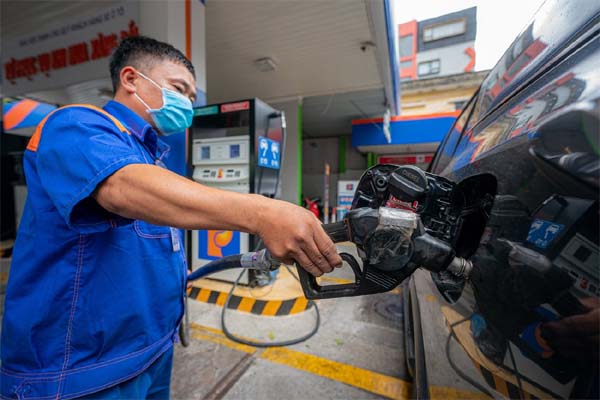 Kỳ lạ: Loại cây trước trồng lấy lương thực giờ cũng được mua về cắm chơi, giá đắt đỏ-3