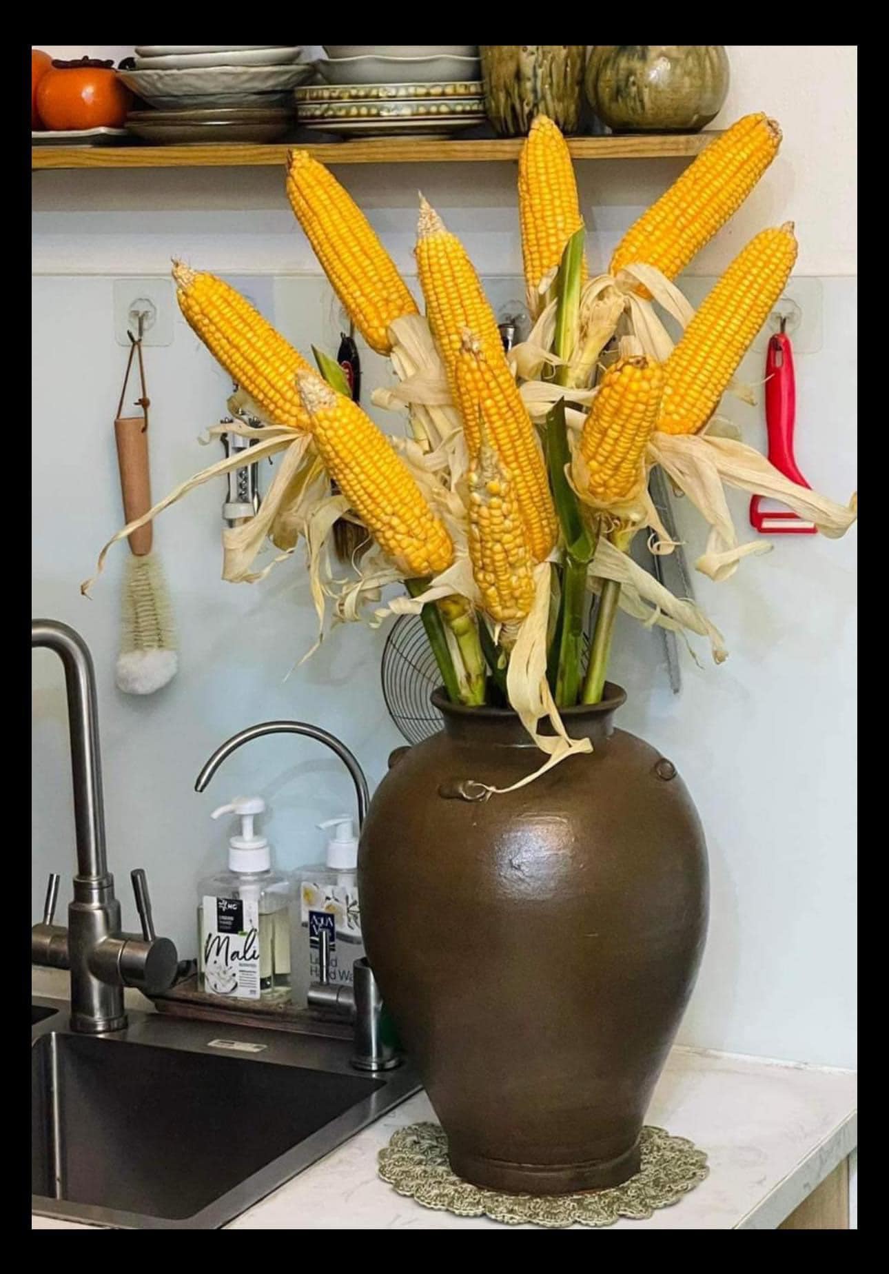 Kỳ lạ: Loại cây trước trồng lấy lương thực giờ cũng được mua về cắm chơi, giá đắt đỏ-2