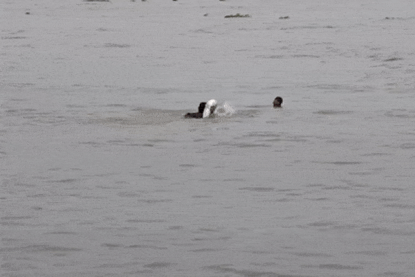 Clip: Đang sửa xe, người đàn ông suýt mất mạng vì tình huống bất ngờ-1