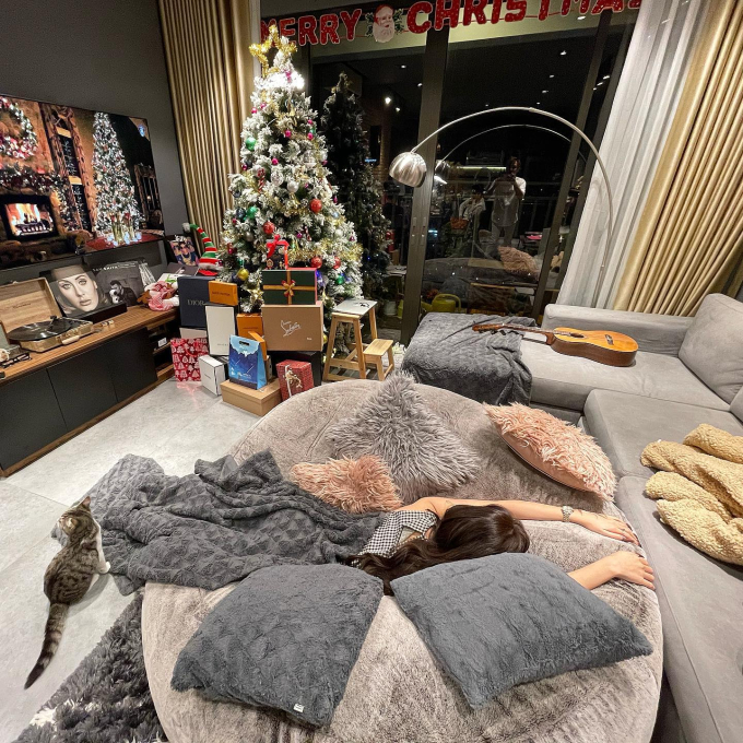 Bên trong căn penthouse cao cấp của Hoàng Thùy Linh: Gia chủ flex thú chơi hoa, cành quả siêu nghệ-2