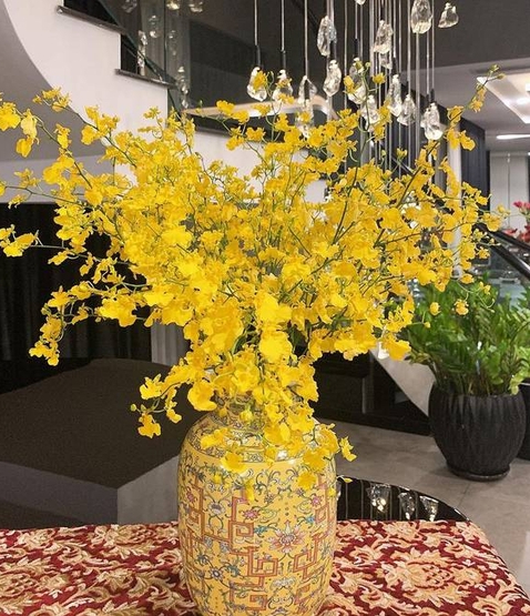 Bên trong căn penthouse cao cấp của Hoàng Thùy Linh: Gia chủ flex thú chơi hoa, cành quả siêu nghệ-14